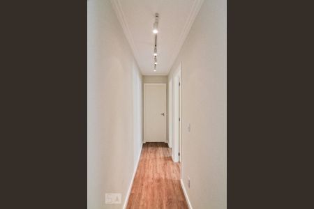 Corredor de apartamento para alugar com 2 quartos, 44m² em Jardim Iris, São Paulo