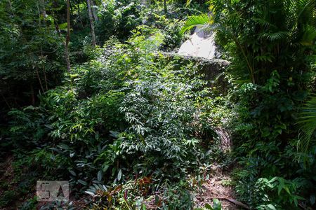 Apartamento à venda com 221m², 3 quartos e 2 vagasVista do Quarto 2