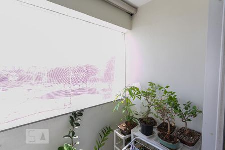 Varanda de apartamento para alugar com 2 quartos, 52m² em União, Belo Horizonte