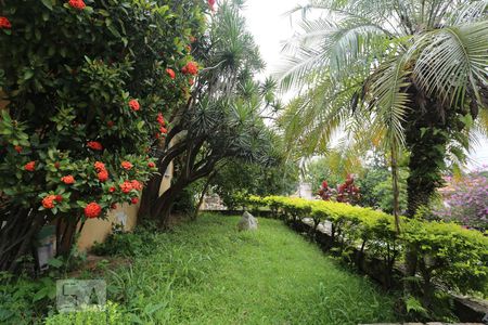 Apartamento à venda com 800m², 5 quartos e 7 vagasJardim Externo