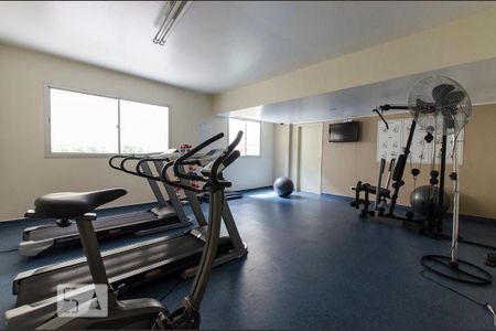 Apartamento para alugar com 80m², 3 quartos e 1 vaga Apartamento para alugar com 80m², 3 quartos e 1 vagaAcademia