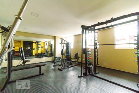 Apartamento para alugar com 35m², 1 quarto e sem vaga Apartamento para alugar com 35m², 1 quarto e sem vagaÁrea comum - Academia