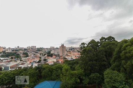 Vista da Suíte de apartamento para alugar com 3 quartos, 66m² em Rio Pequeno, São Paulo