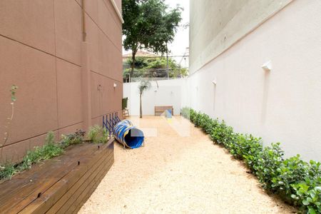 Studio à venda com 26m², 1 quarto e sem vagaPet place