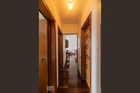 Corredor de apartamento à venda com 3 quartos, 80m² em Chácara Santo Antônio (zona Leste), São Paulo