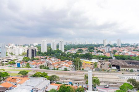 Vista de apartamento para alugar com 1 quarto, 37m² em Vila Cruzeiro, São Paulo