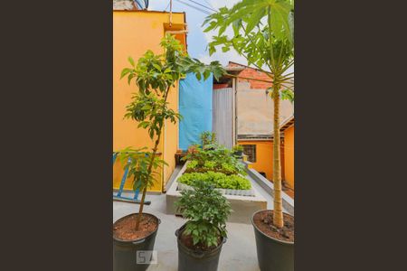 Casa à venda com 140m², 5 quartos e 5 vagasQuintal