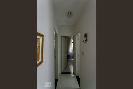 corredor de apartamento para alugar com 2 quartos, 77m² em Cidade Nova, Belo Horizonte