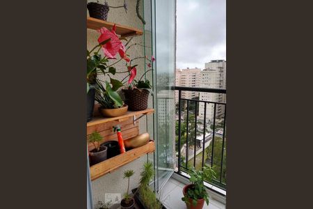 Sacada de apartamento à venda com 3 quartos, 59m² em Planalto, São Bernardo do Campo