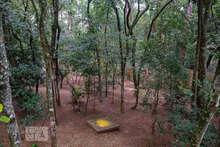 Apartamento à venda com 59m², 3 quartos e 1 vagaBosque