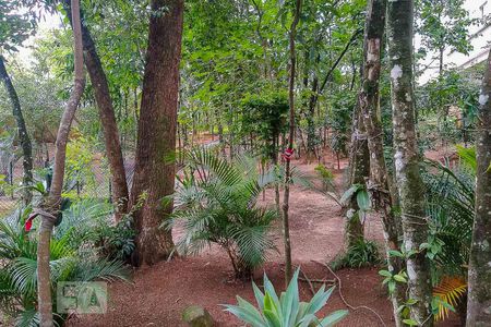 Apartamento à venda com 59m², 3 quartos e 1 vagaBosque