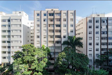 Vista de kitnet/studio para alugar com 1 quarto, 23m² em Vila Madalena, São Paulo