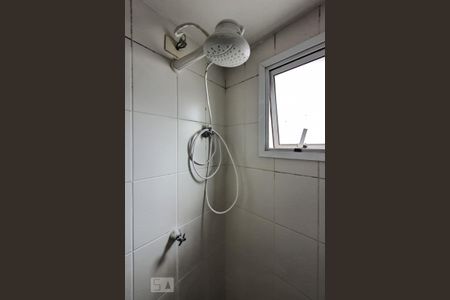 Banheiro de apartamento para alugar com 1 quarto, 33m² em Cambuci, São Paulo