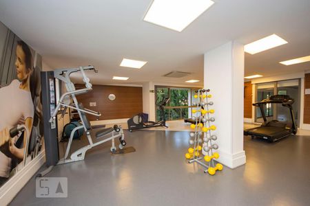 Apartamento para alugar com 86m², 2 quartos e 2 vagas Apartamento para alugar com 86m², 2 quartos e 2 vagasÁrea comum - Academia