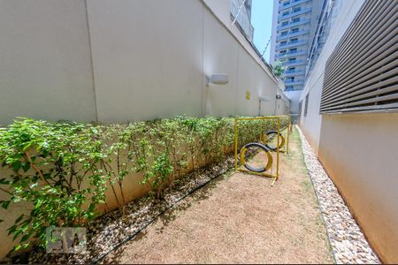 Apartamento para alugar com 42m², 1 quarto e 1 vaga Apartamento para alugar com 42m², 1 quarto e 1 vagaÁrea Comum - Pet Space