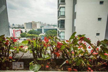 Apartamento à venda com 185m², 3 quartos e 2 vagasVista da Suite 2