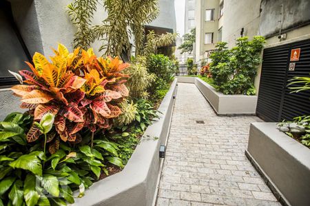 Apartamento à venda com 185m², 3 quartos e 2 vagasÁrea comum