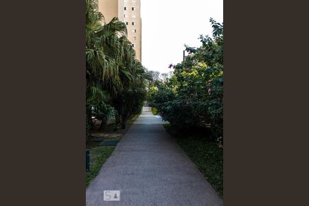 Apartamento para alugar com 73m², 3 quartos e 1 vagaÁrea Comum