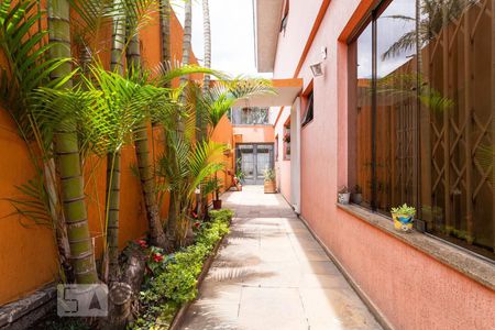 Casa à venda com 312m², 6 quartos e 3 vagasJardim