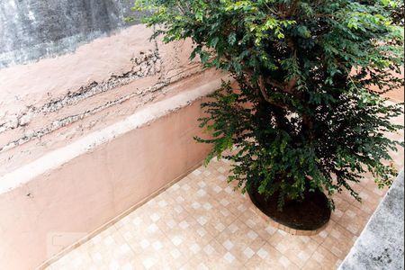 Casa à venda com 250m², 3 quartos e 4 vagas Casa à venda com 250m², 3 quartos e 4 vagasQuintal