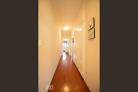 corredor de apartamento para alugar com 3 quartos, 170m² em Jardim Paraíso, Campinas