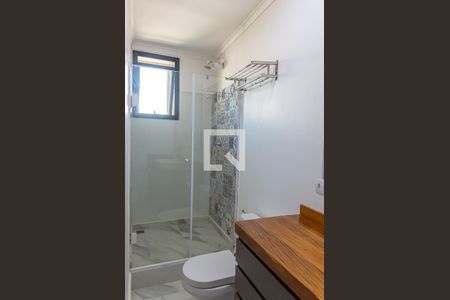Banheiro da Suíte de apartamento para alugar com 2 quartos, 172m² em Nova Petrópolis, São Bernardo do Campo