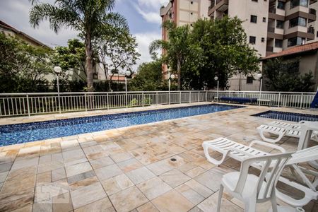 Área Comum Piscina de apartamento à venda com 3 quartos, 95m² em Saúde, São Paulo