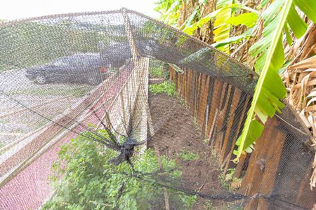 Apartamento para alugar com 65m², 3 quartos e 1 vagaHorta