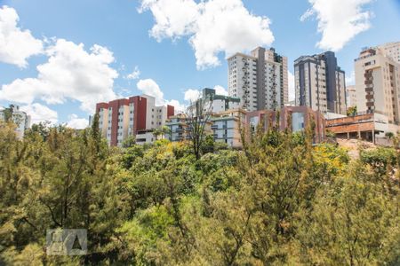 Vista da Sala de apartamento para alugar com 3 quartos, 80m² em Estrela Dalva, Belo Horizonte