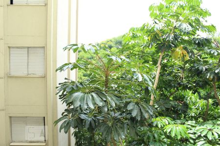 Vista do Quarto 1 de apartamento à venda com 2 quartos, 57m² em Jardim das Vertentes, São Paulo