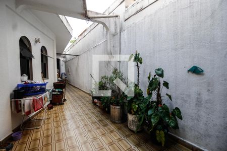 Casa à venda com 250m², 3 quartos e 2 vagasQuintal 1