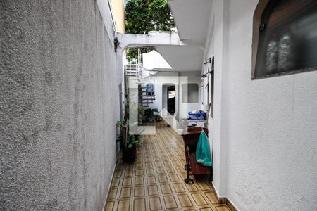 Casa à venda com 250m², 3 quartos e 2 vagasQuintal 1
