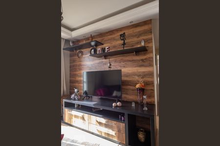 Detalhe Sala de apartamento para alugar com 2 quartos, 48m² em Cambuci, São Paulo