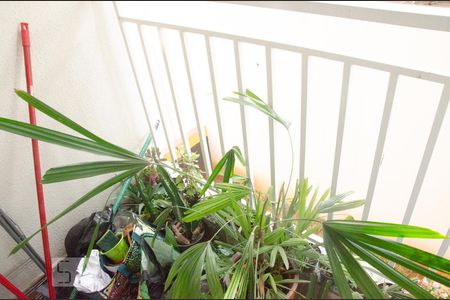 Apartamento à venda com 34m², 1 quarto e sem vagaArea de Serviço