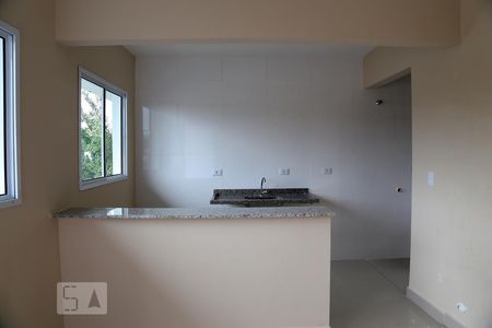 Sala/Cozinha de apartamento para alugar com 1 quarto, 30m² em Instituto de Previdência, São Paulo