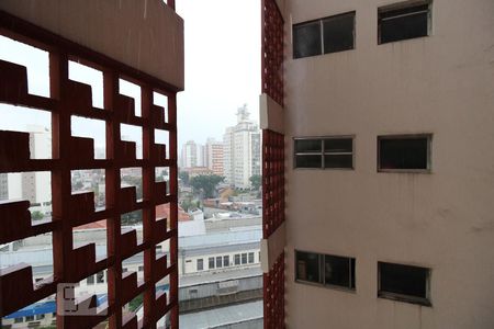 Apartamento para alugar com 50m², 1 quarto e 1 vagaVista da Lavanderia