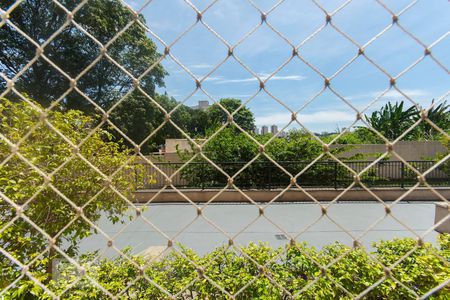 Vista de apartamento para alugar com 2 quartos, 57m² em Vila Satúrnia, Campinas