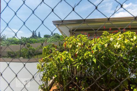 Vista de apartamento para alugar com 2 quartos, 57m² em Vila Satúrnia, Campinas