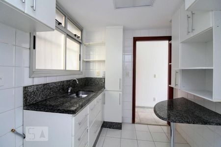 Cozinha de apartamento à venda com 3 quartos, 80m² em Luxemburgo, Belo Horizonte