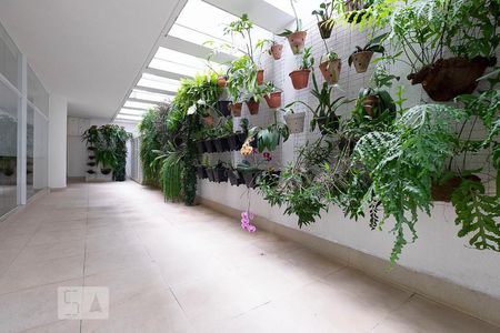 Apartamento para alugar com 120m², 3 quartos e 1 vaga Apartamento para alugar com 120m², 3 quartos e 1 vagaHall de Entrada