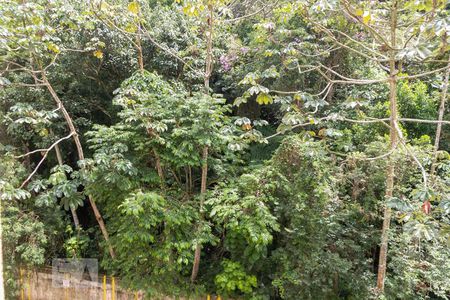 Apartamento para alugar com 48m², 2 quartos e 1 vagaVista do Quarto 2