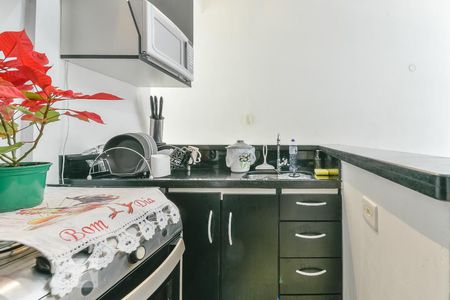 Studio para alugar com 30m², 1 quarto e sem vaga Studio para alugar com 30m², 1 quarto e sem vagaCozinha