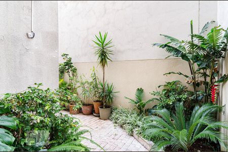 Apartamento para alugar com 60m², 1 quarto e sem vaga Apartamento para alugar com 60m², 1 quarto e sem vagaVista da cozinha