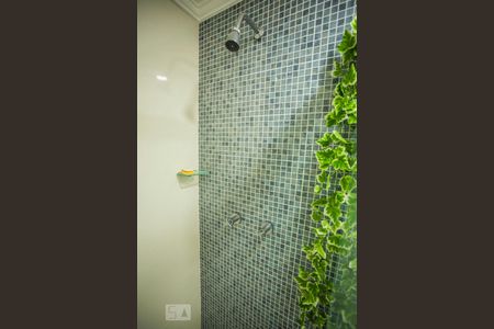 Apartamento à venda com 53m², 1 quarto e 1 vagaDetalhe Banheiro