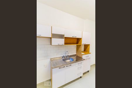 Apartamento para alugar com 55m², 2 quartos e sem vagaCozinha - Armários