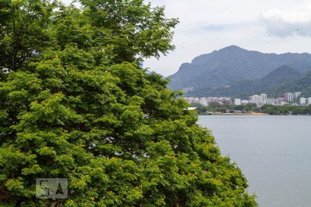 Apartamento à venda com 223m², 4 quartos e 2 vagasVista do Quarto 1