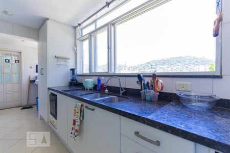 Casa à venda com 600m², 7 quartos e 6 vagasCozinha - Armários