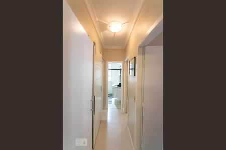 Corredor de apartamento para alugar com 3 quartos, 89m² em Colégio Batista, Belo Horizonte
