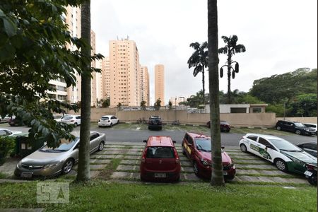 Apartamento para alugar com 74m², 3 quartos e 1 vaga Apartamento para alugar com 74m², 3 quartos e 1 vagaSuíte - Vista