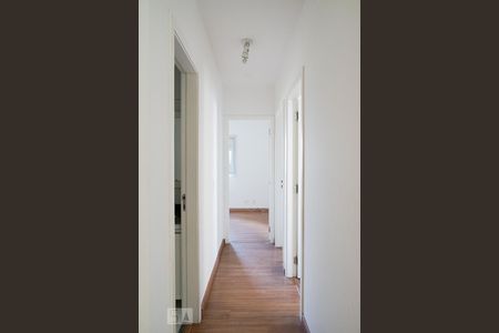 Corredor de apartamento para alugar com 3 quartos, 70m² em Água Branca, São Paulo